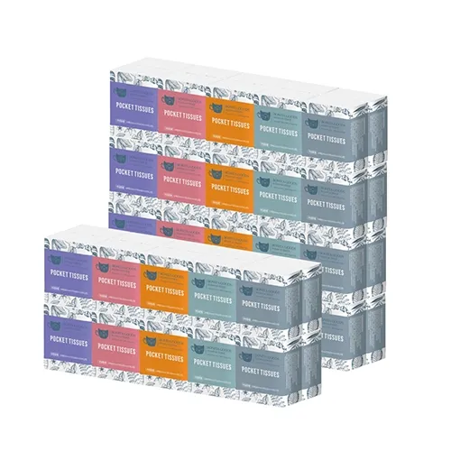 보니타굿즈 여행용 휴대용 미니 포켓티슈 10매 60팩