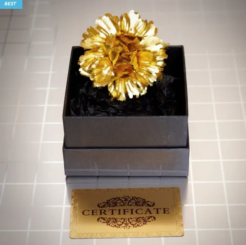 24K 골드도금 카네이션 브로치