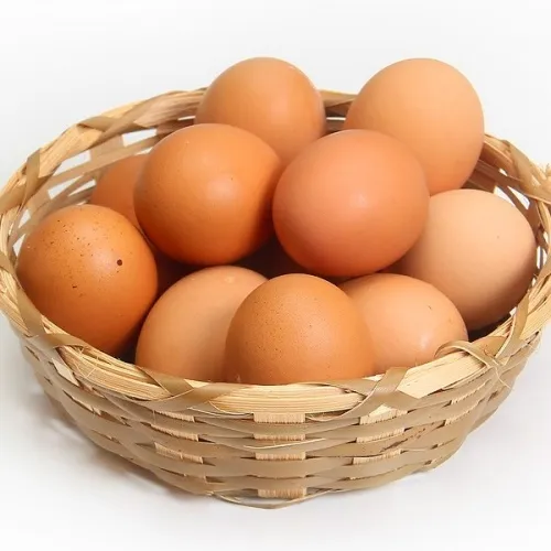 난각번호1번 무항생제 유정란 20구