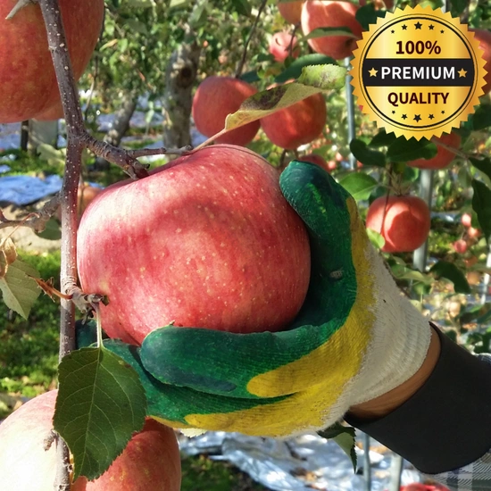 엽기떡볶이 11~14일 9900원 (9,900원/무료)