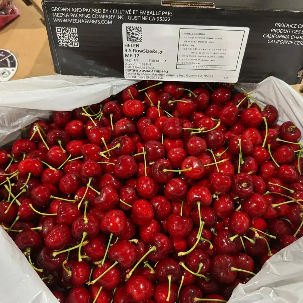 워싱턴 생체리 10row 5kg (59,990원/무료)