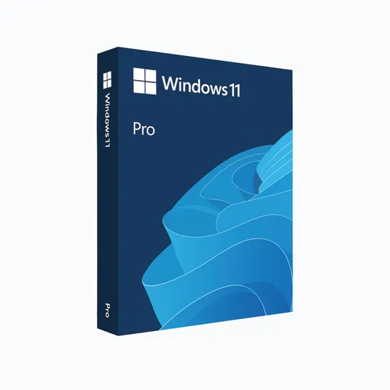 MS 윈도우 11 프로 정품