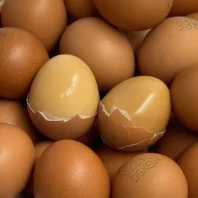 구운계란 구운란 대란 60구