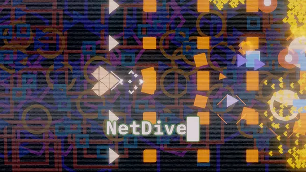 넷다이브