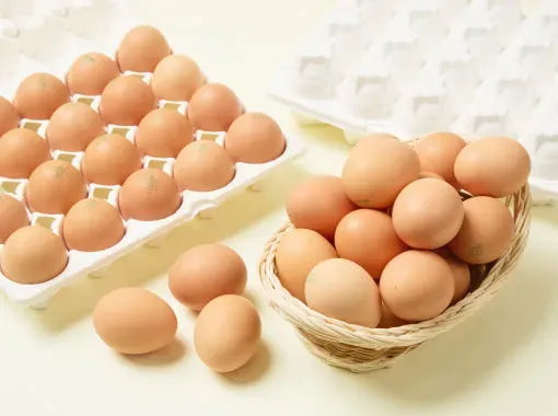 유정란 계란 20구