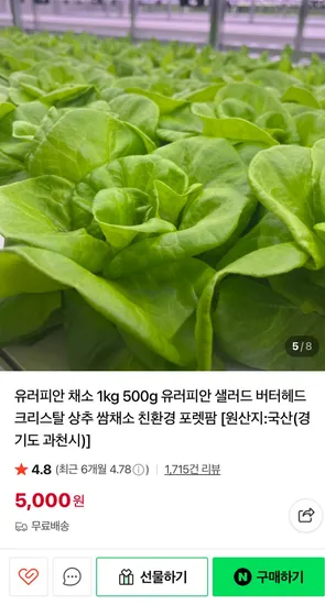 유러피안샐러드 채소 1kg