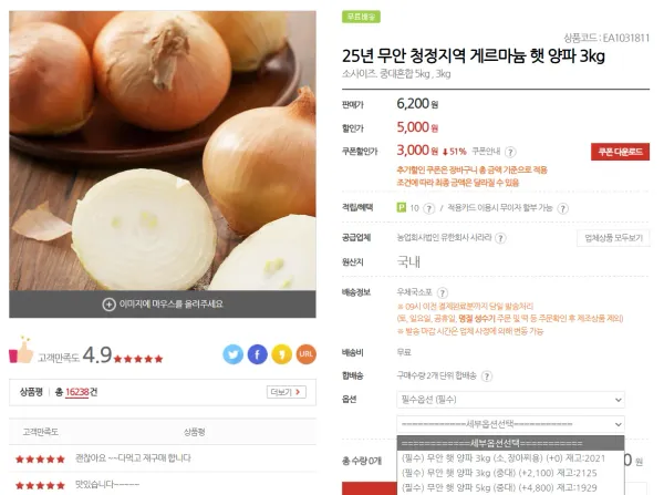 게르마늄 햇 양파 5kg