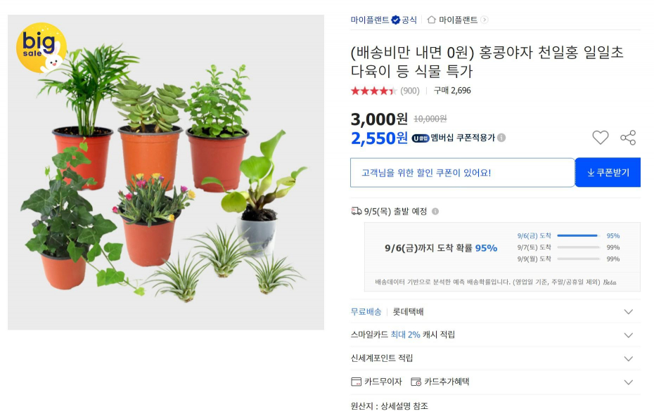 홍콩야자, 다육이, 천일홍, 일일초 등 (2,550원/무배)