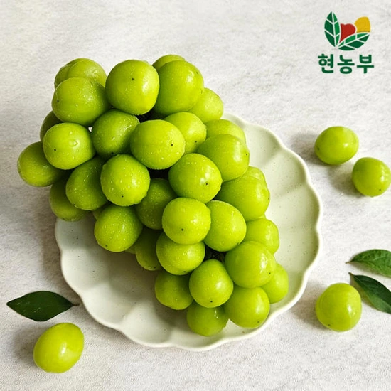샤인머스켓 2kg 4~6수 가정용 ( 9,780원 / 무료 배송 )