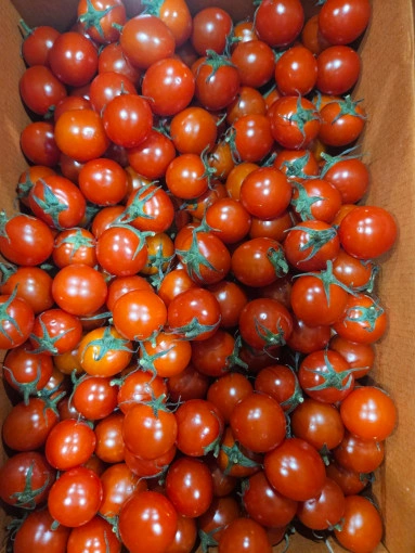 방울토마토 2kg (14,800원/무료)