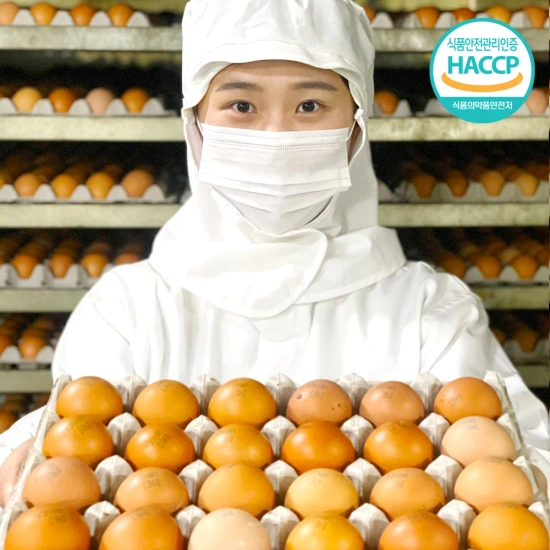 HACCP 인증 구운계란 대란 30구 (3,897원/무배)