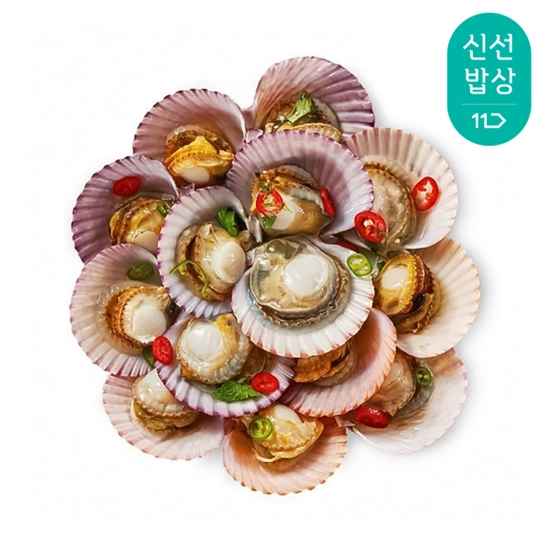 더신선 통영산 최상급 활 가리비 2kg 50-65미내외 / 2개 이상 구매시 초장 증정 ( 11,200원 / 무료 배송 )