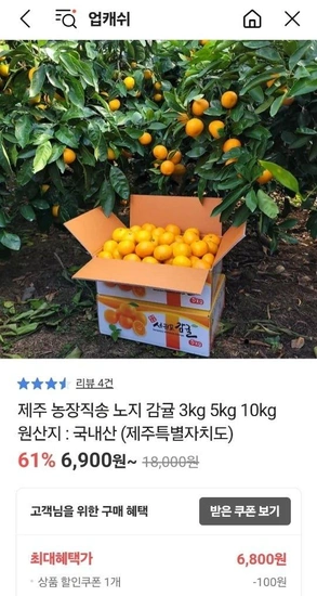 제주 노지감귤 10kg (9,800원/무배)