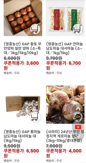 무안 양파 3kg (3,600원/무료)