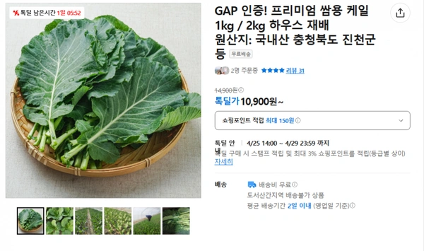 쌈용 케일 1kg (무배/10900원)