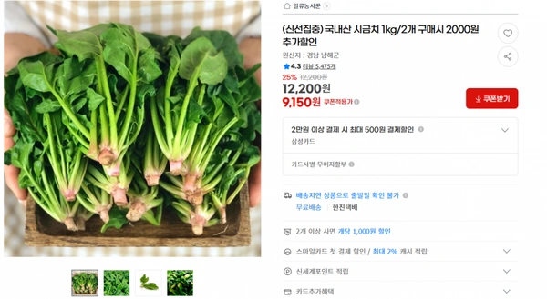 지마켓)(신선집중) 국내산 시금치 1kg/2개 구매시 2000원 추가할인