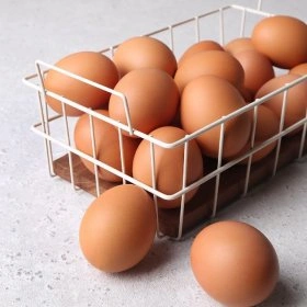 지마켓) (전단상품)행복대란 30입 1560G 6320원/3만이상무배