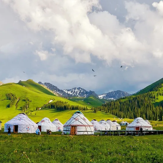 몽골 신게르 숙박 패키지 (474,840원/무료)