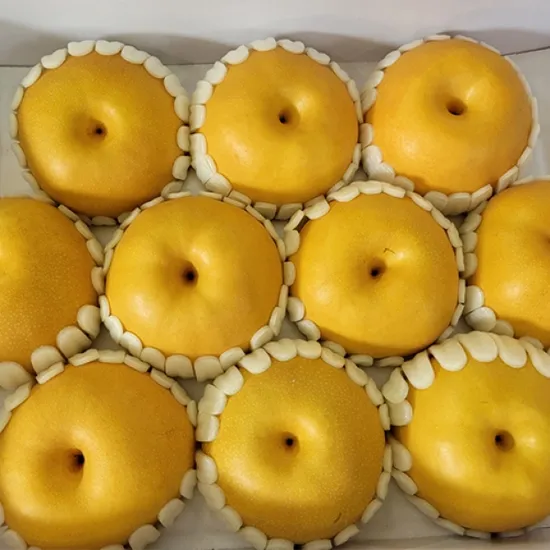 나주 가정용배 5kg (15,400원/무료)