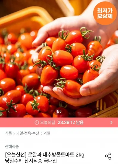 대추방울토마토 2kg 로얄과