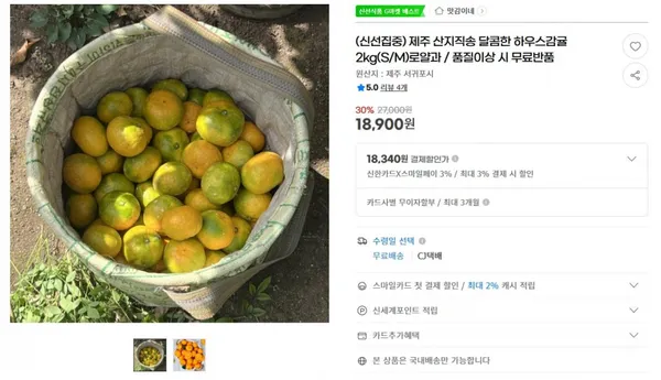 하우스감귤 2kg S M 로얄과 외 다양