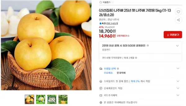 신선집중 나주배 가정용 5kg 11-13과 중소과