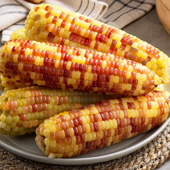냉동 찰옥수수 홍찰 백찰 옥수수 10개