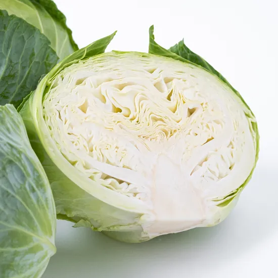 전남 영암 양배추 2-4통 5kg 내외