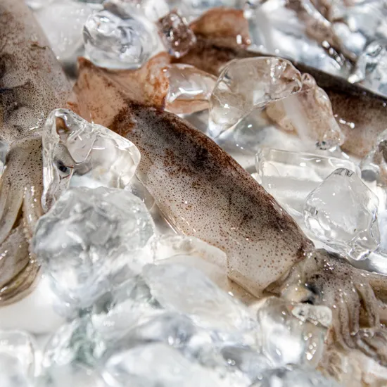 급냉 총알한치 14900원