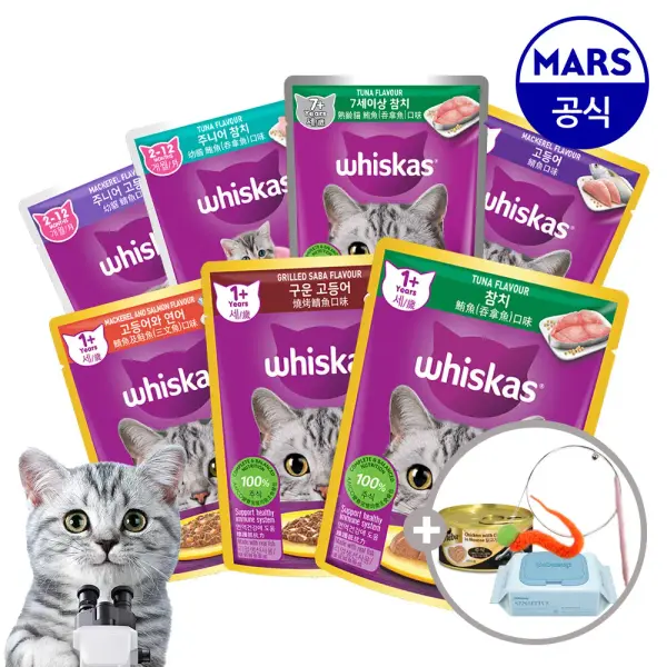 위스카스팩 파우치 24개 골라담기 외 다양 3종 사은품