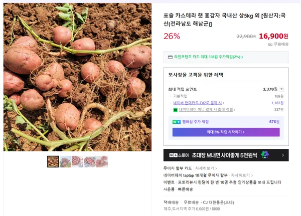 햇 홍감자 5kg 16900원