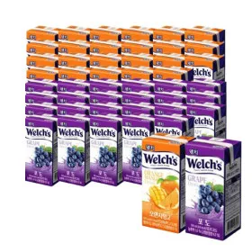 웰치스 드링크 포도 24개 오렌지망고 24개