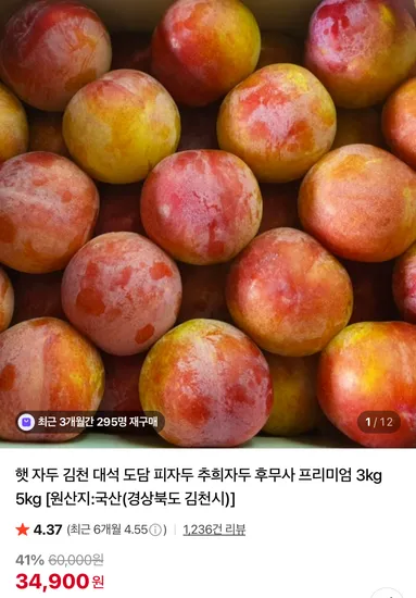 김천 대석 도담 피자두 추희자두 후무사 프리미엄 3kg 5kg