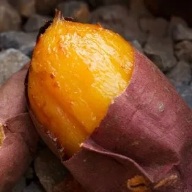 해남 베니하루카 밤고구마 10kg (못난이)