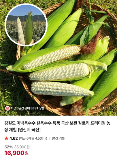 강원도 미백옥수수 찰옥수수 특품 16900