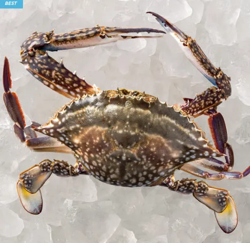 제철 꽃게 1kg 외 다양