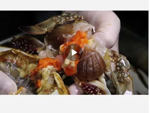 알품게 삼대인천게장 간장게장 양념게장 연평도 꽃게장 암꽃게 3.5kg