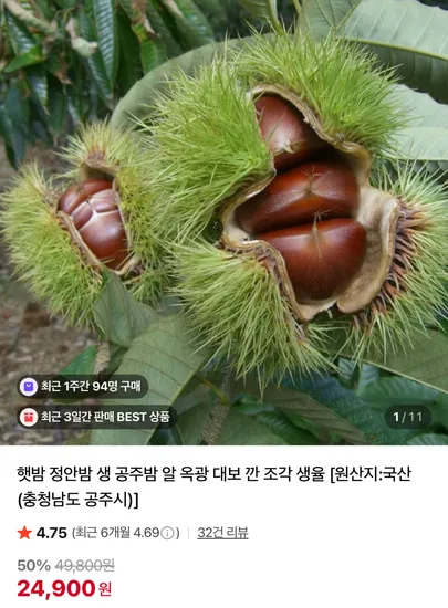 정안밤 생밤 깐 조각 500g
