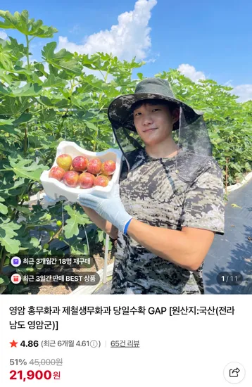 영암 홍무화과 제철생무화과 GAP