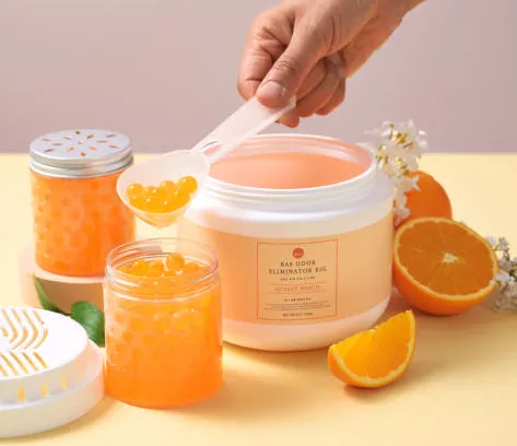 BAS 바스 대용량 빅 탈취제 선셋비치 1개 소분용기 2개 스푼 1개 1100g