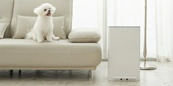 매직캔 정품 리필봉투 21L 10매