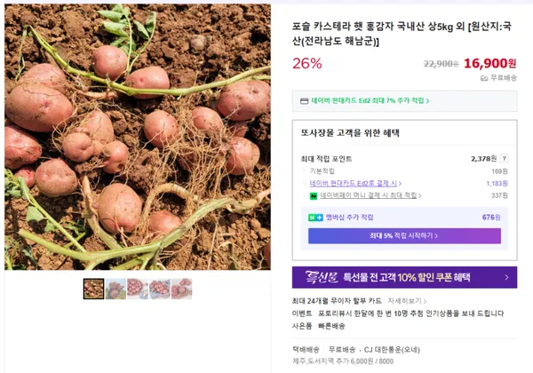 햇 홍감자 국내산 상 5kg 16900원