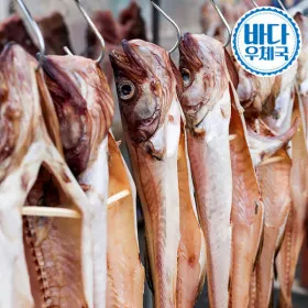 반건조 코다리 중 대 특대 왕특대 6~10미