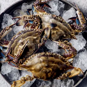 태안 자연산 통통 활 꽃게 2kg 6-10미