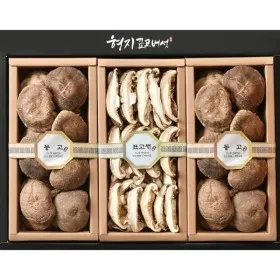 형지표고버섯 동고 특 2호 표고버섯 선물세트 500g