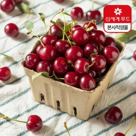 신세계푸드 생체리 750g 약75알