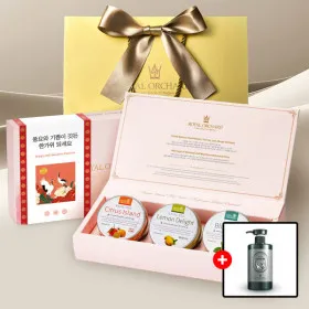 실버틴3 프리미엄 차 선물세트 티백 12개입