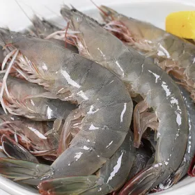 흰다리 활새우(대) 1kg 30-35미내외