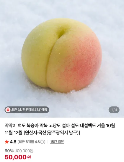 딱딱이 백도 복숭아 딱복 고당도 설아 설도 대설백도 겨울 10월 11월 12월