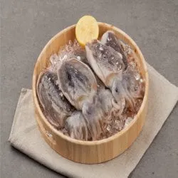 손질 갑오징어 1kg